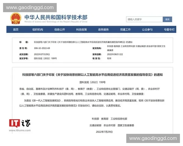 以青年梯队为核心推动力 加快社会发展与创新人才培养的路径探索